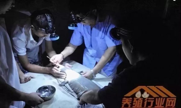 資本試水區塊鏈生物科技+大健康，場景應用時代已然來臨！